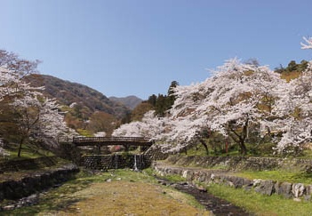 201104121014-DSC07462.jpg