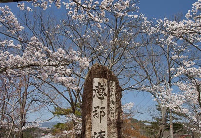 201104121259-DSC07538.jpg
