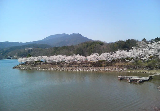 20110412130533-SO902i.jpg