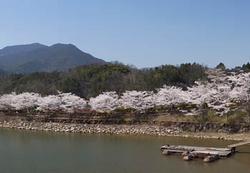 201104121308-DSC07544.jpg