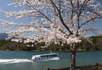 201104121331-DSC07585.jpg