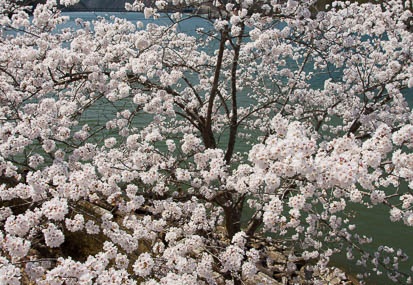 201104121337-DSC07595.jpg
