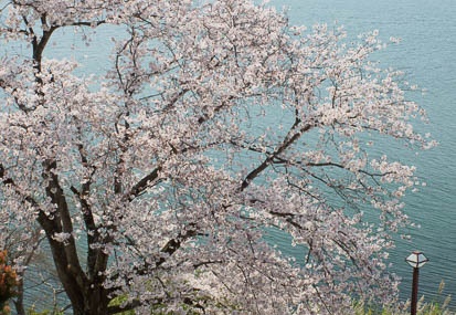 201104130926-DSC07805.jpg
