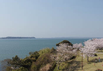 201104130928-DSC07811.jpg