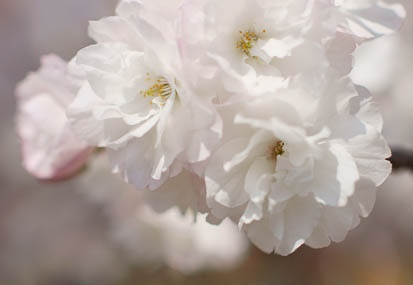 201104130945-DSC07850.jpg