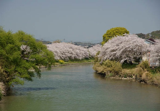 201104131152-DSC07907.jpg