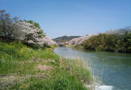 20110413121227-SO-01B.jpg