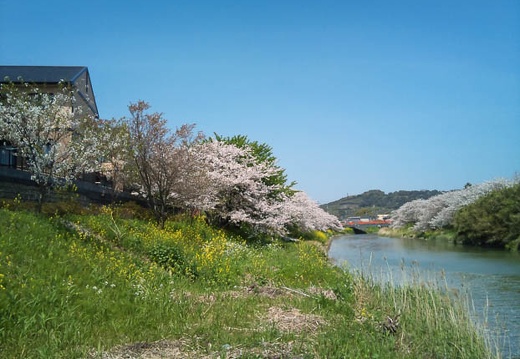 20110413121244-SO-01B.jpg