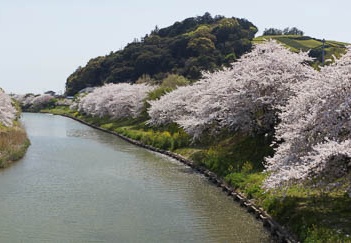 201104131305-DSC08059.jpg