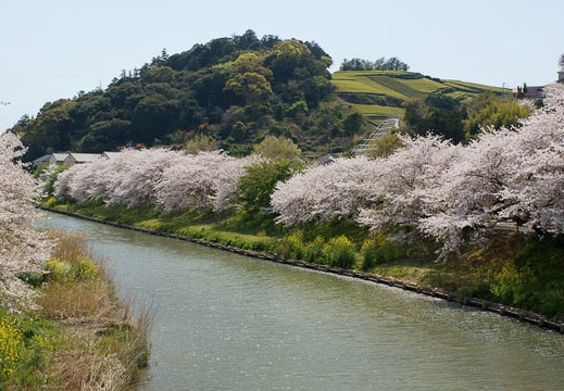 201104131307-DSC08062.jpg
