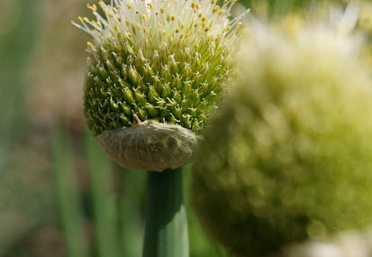 201104131319-DSC08080.jpg