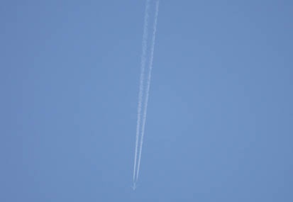 201104131354-DSC08115.jpg