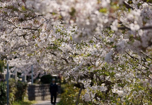 201104131402-DSC08133.jpg