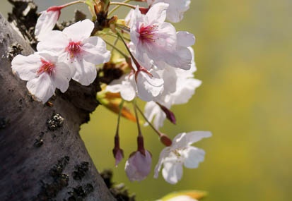 201104131415-DSC08171.jpg