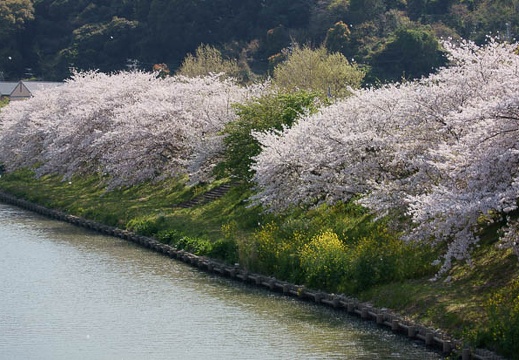 201104131417-DSC08175.jpg