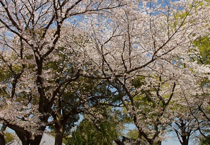 201104141158-DSC08198.jpg