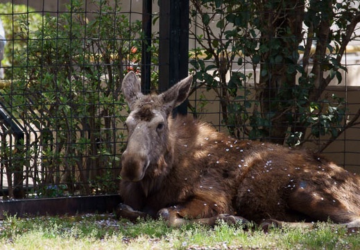 201104141204-DSC08210.jpg