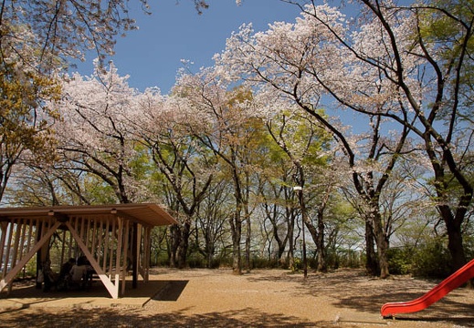 201104141211-DSC08216.jpg