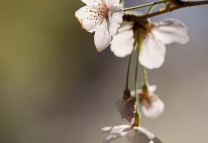 201104141216-DSC08228.jpg
