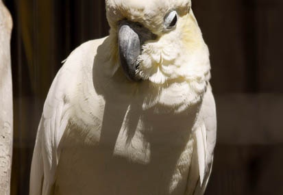 201104141218-DSC08233.jpg