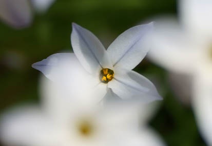 201104141300-DSC08342.jpg