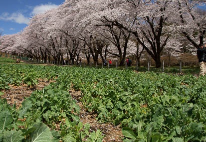 201104201049-DSC08583.jpg