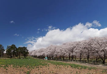 201104201137-DSC08665.jpg