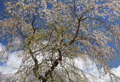 201104201141-DSC08670.jpg