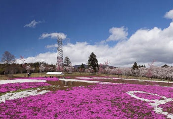 201104201156-DSC08695.jpg