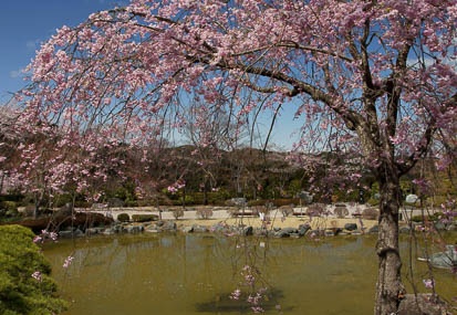 201104201354-DSC08767.jpg