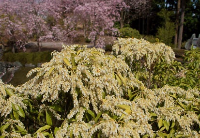 201104201356-DSC08774.jpg