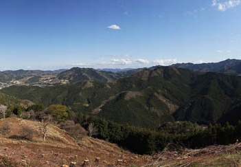 201104201507-DSC08913.jpg