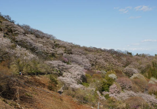 201104201513-DSC08925.jpg