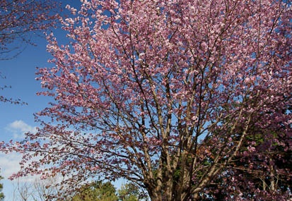 201104201535-DSC08942.jpg