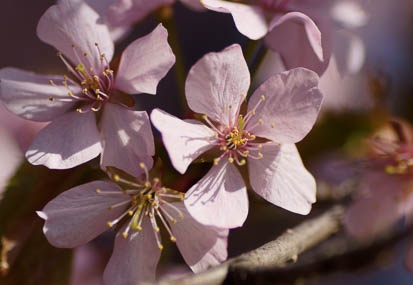 201104201546-DSC08990.jpg