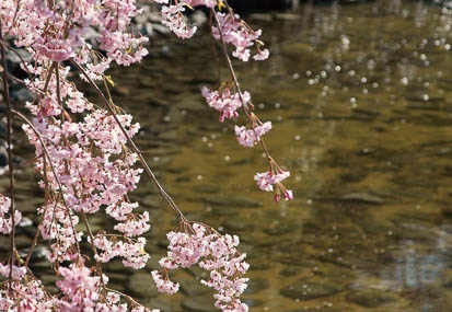 201104201553-DSC09012.jpg