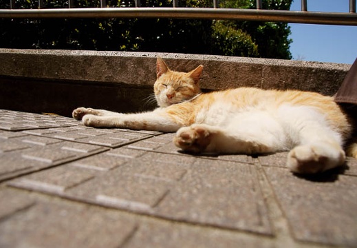 201104241140-DSC09541.jpg
