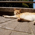 201104241140-DSC09541.jpg