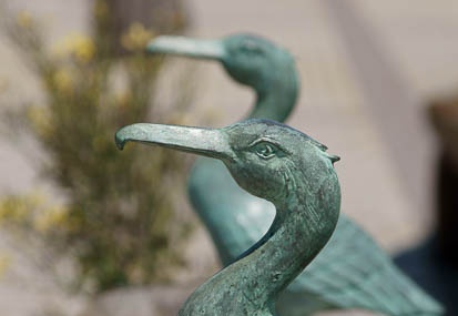 201104241154-DSC09554.jpg