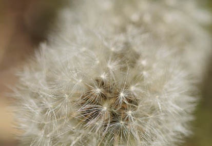 201104241159-DSC09556.jpg