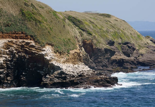 201104241225-DSC09620.jpg