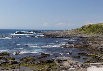 201104241236-DSC09642.jpg