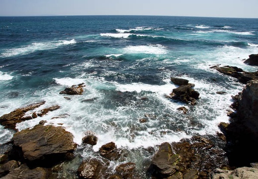 201104241238-DSC09648.jpg