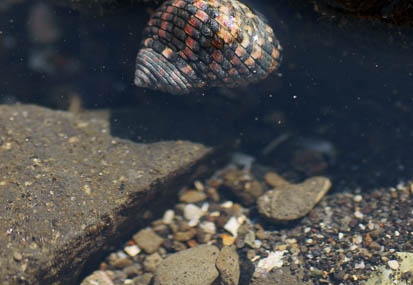201104241319-DSC09694.jpg