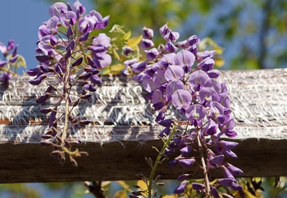 201104241345-DSC09770.jpg
