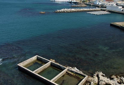 201104241404-DSC09792.jpg