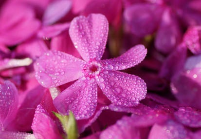 201104250748-DSC09832.jpg