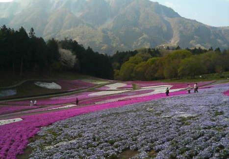 20110425075708-SO902i.jpg