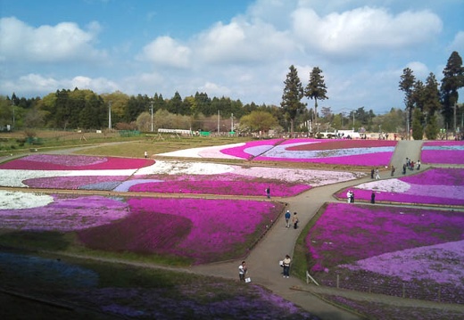 20110425084839-SO-01B.jpg