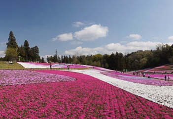 201104250933-DSC00037.jpg